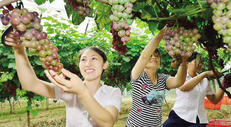 中秋节长沙泡温泉赏桂花